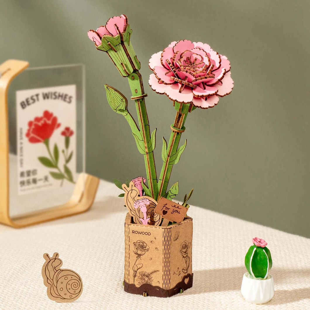 DIY Pink Carnation Kit