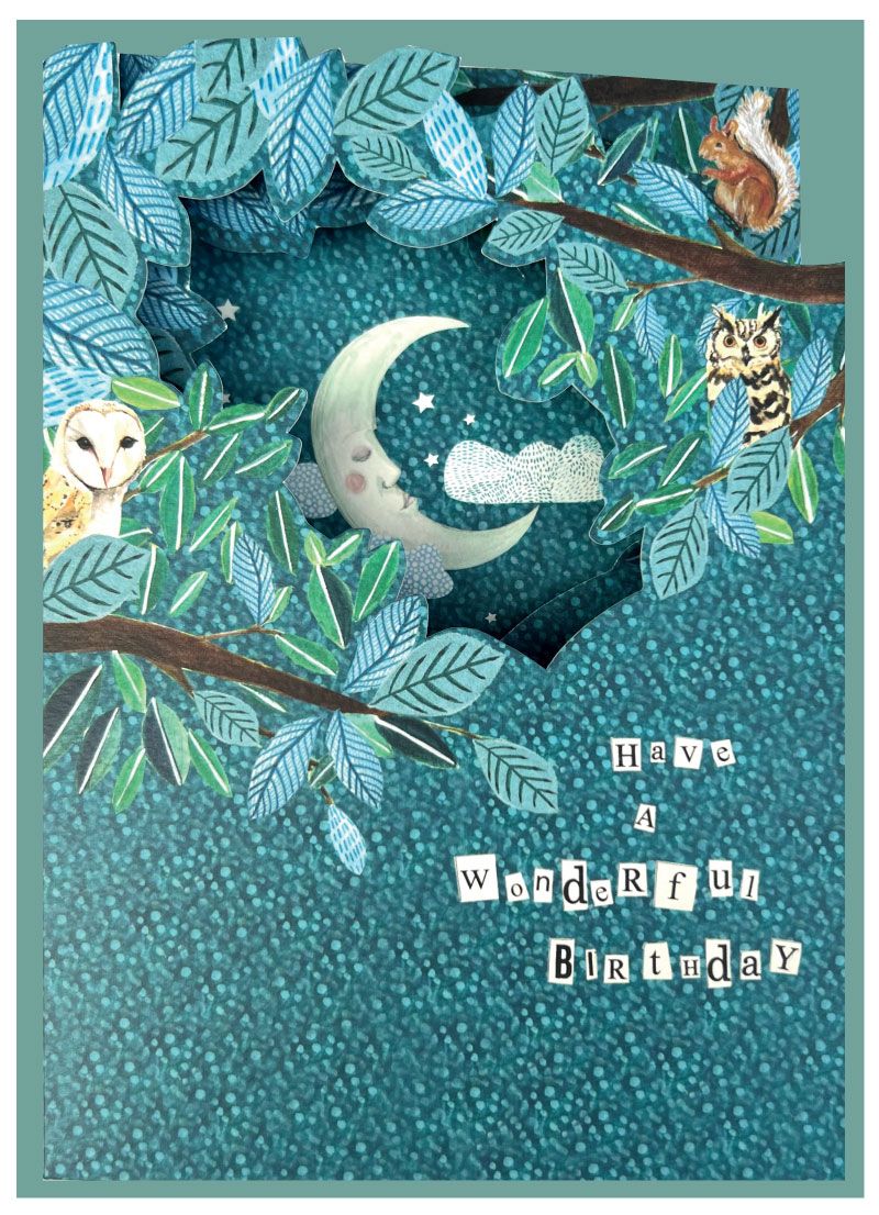 Foldout Birthday Moon and Owls Card