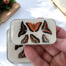 Load image into Gallery viewer, Orange Butterflies Notions Tin: Large
