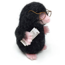 Load image into Gallery viewer, Mr Mole Needle Felting Craft Kit
