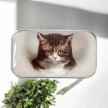 Load image into Gallery viewer, Cat Notions Tin: Small
