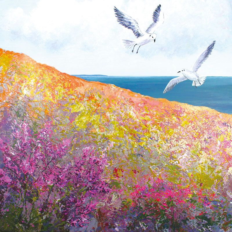 Wild Coast Gulls Art Card