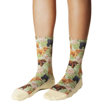 Load image into Gallery viewer, Women's Highland Cows Socks: Shoe Size 5-9
