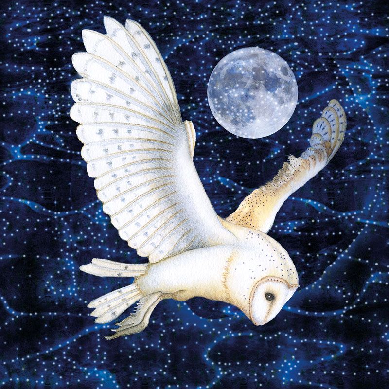 The Wide Winter Night Card