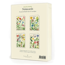 Load image into Gallery viewer, Wildflowers Boxed Notecards
