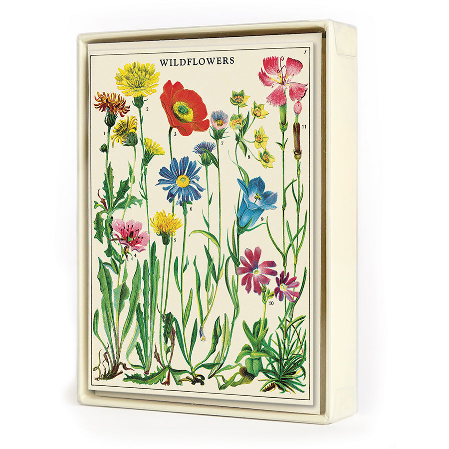 Wildflowers Boxed Notecards