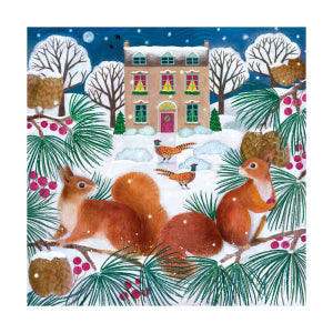 Snowy Squirrels Boxed Cards - Small