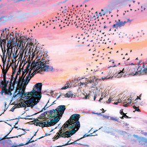 Starlings in Winter Boxed Cards - Small