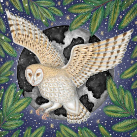 Moonlit Owl Boxed Cards - Large